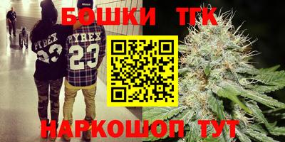 ешки Гай