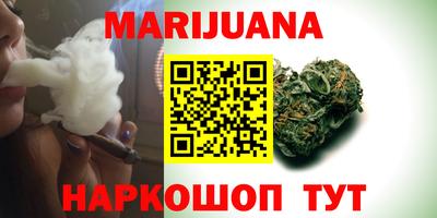 Альфа ПВП Гатчина